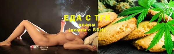 индика Чекалин